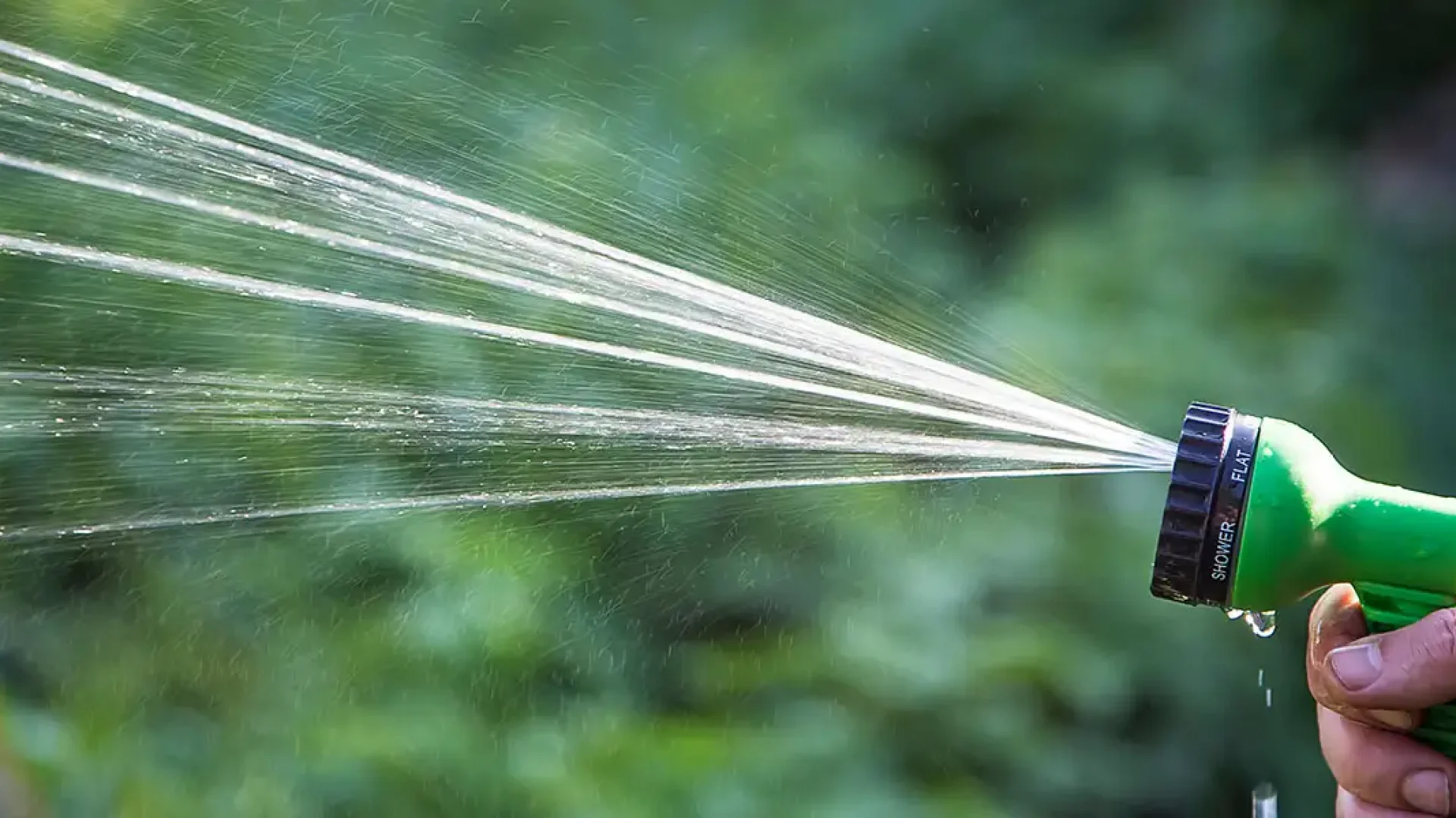 Watering Guide-Featured