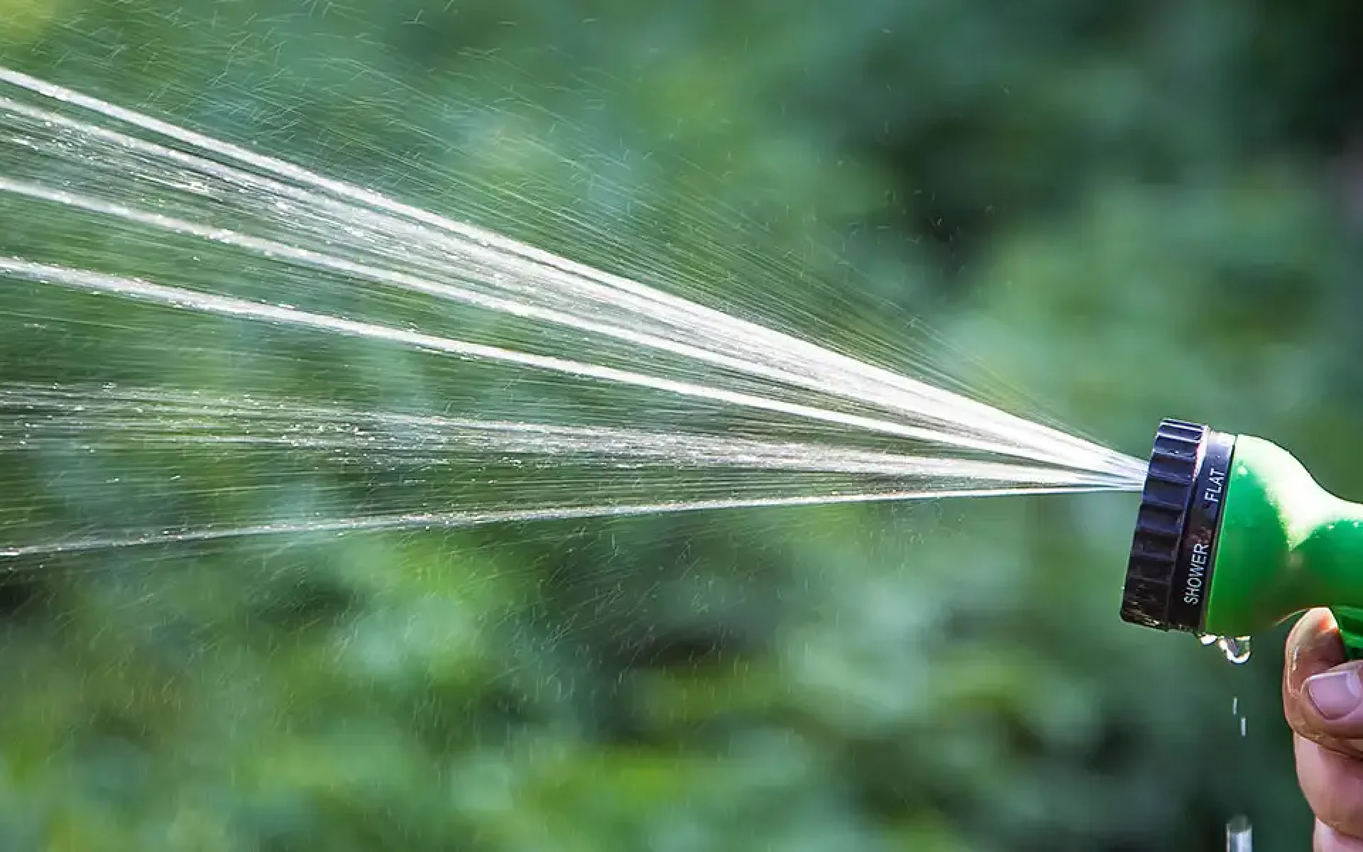 Watering Guide-Featured