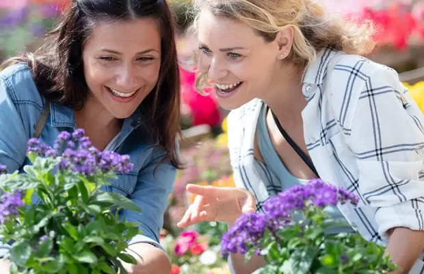 What to Look For When Buying Plants-featured image