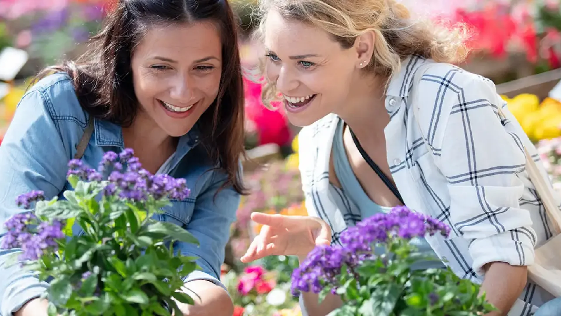 What to Look For When Buying Plants-featured image