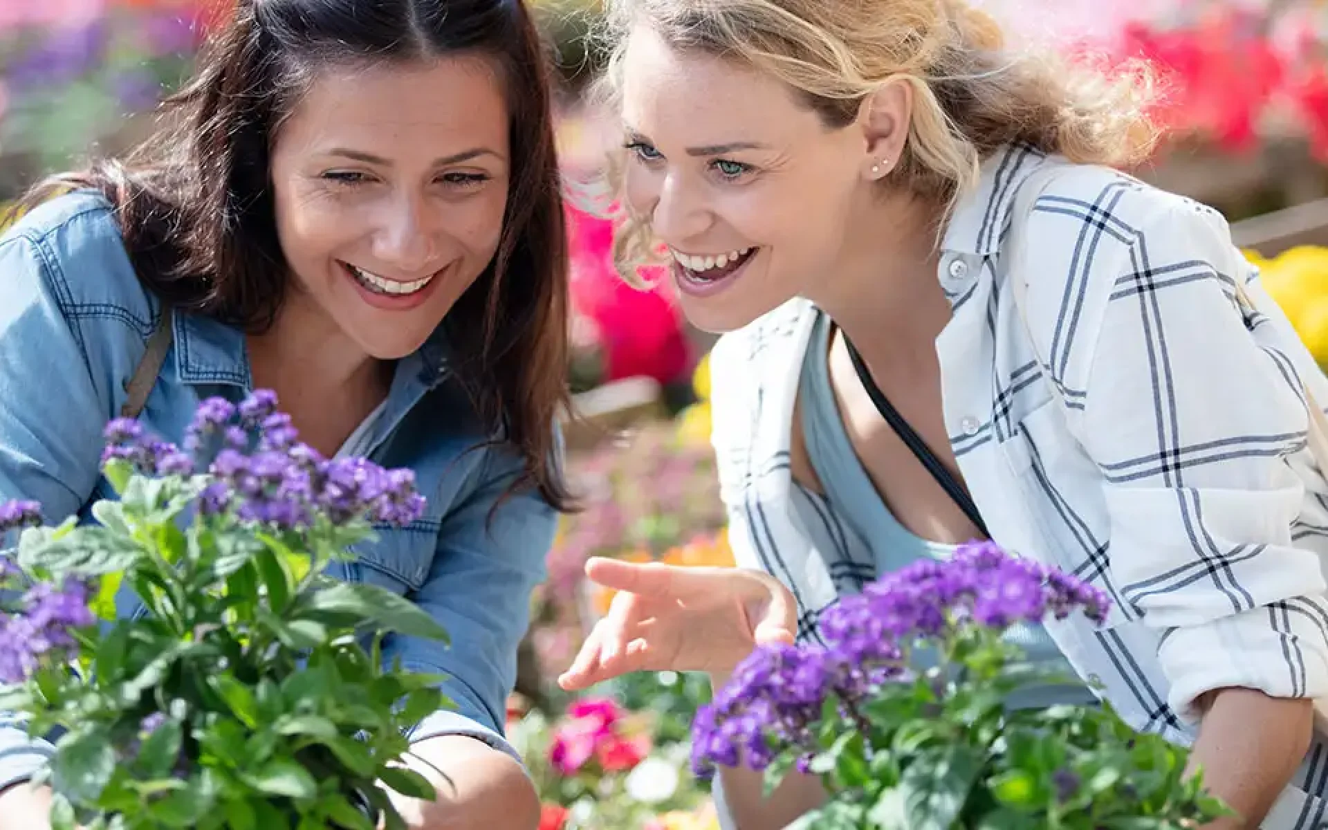 What to Look For When Buying Plants-featured image